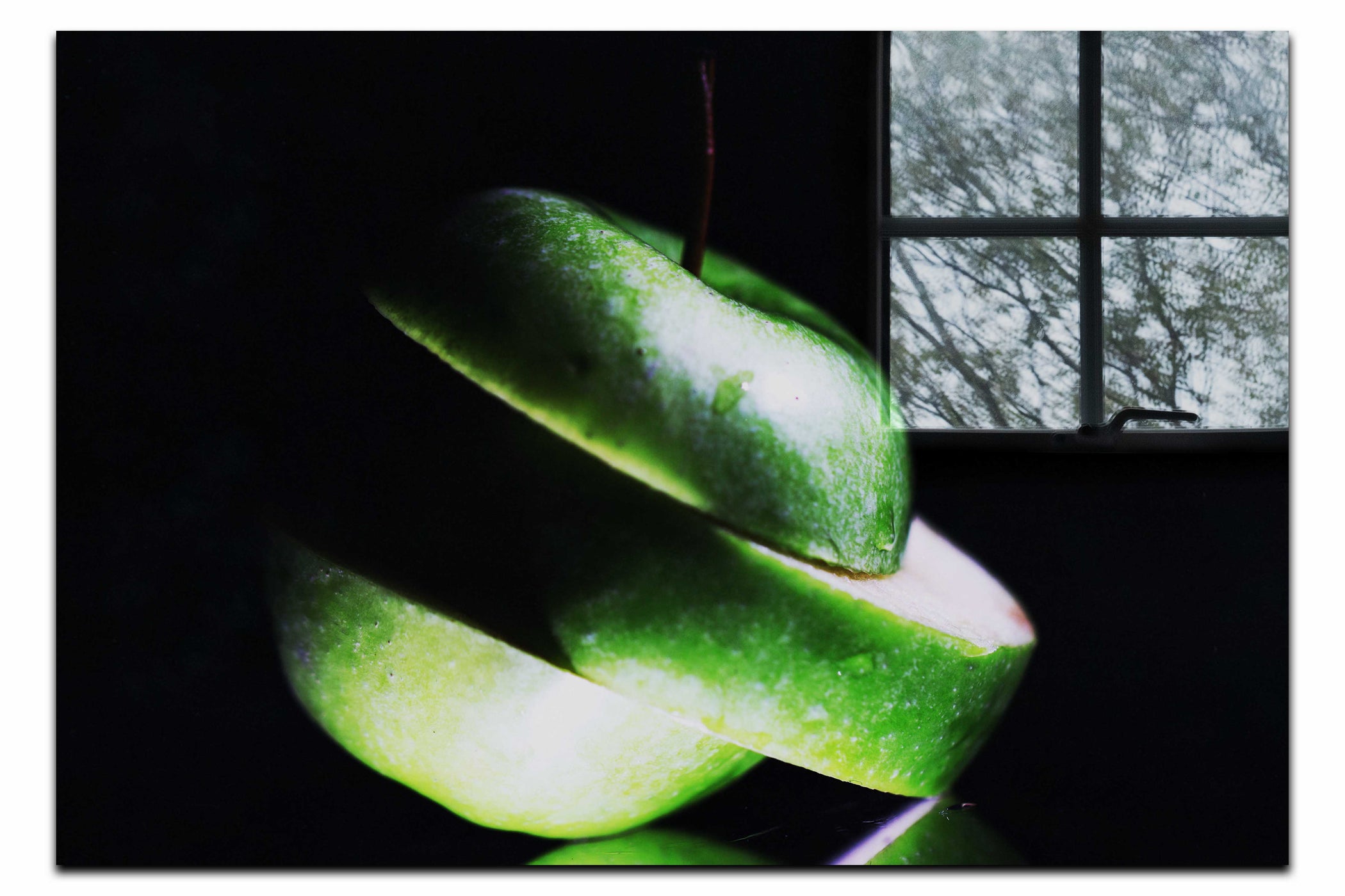 Verdant Spiral Apple Slice - Acrylic Print - Food Art Category