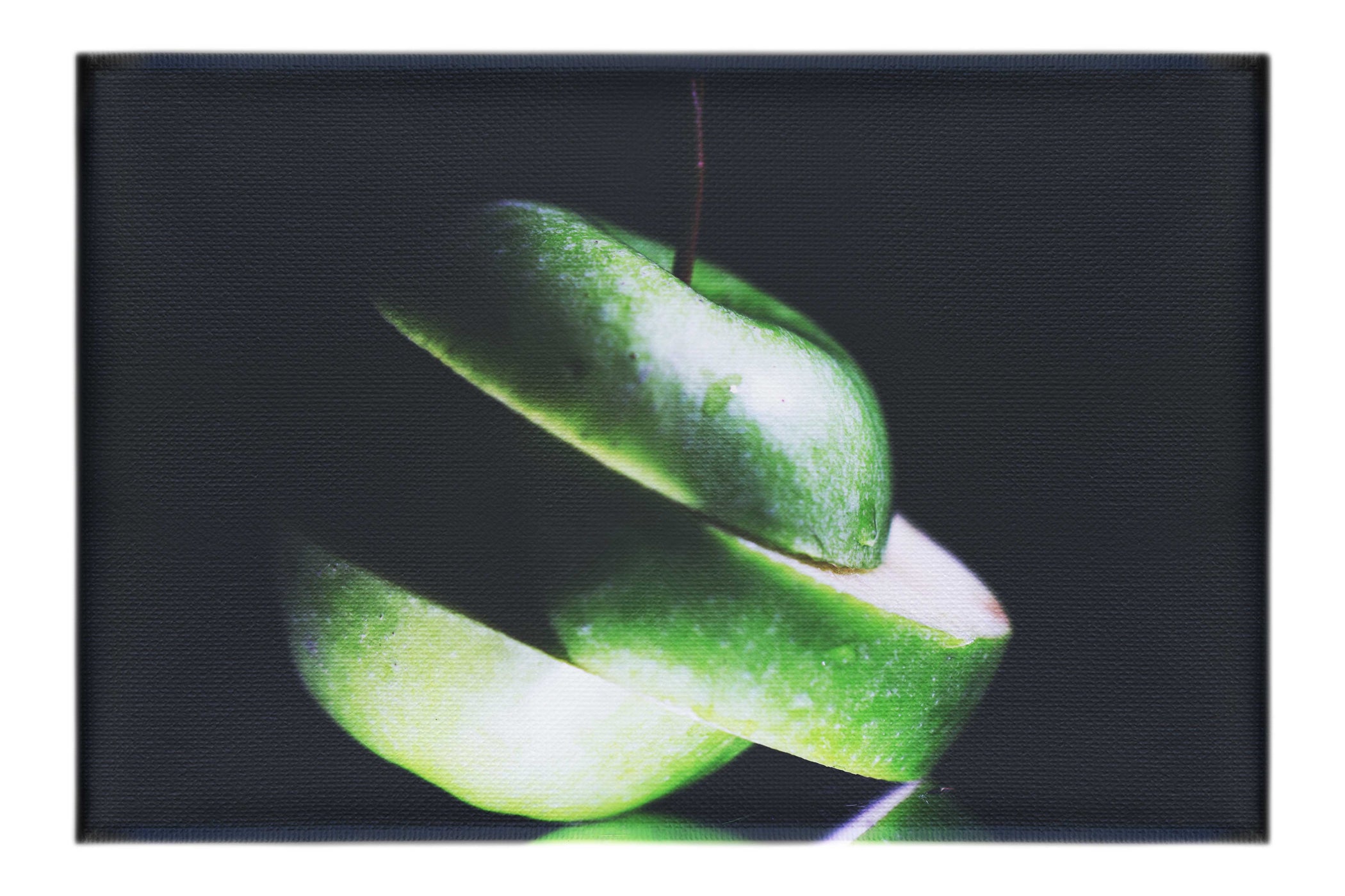 Verdant Spiral Apple Slice - Canvas Print - Food Art Category