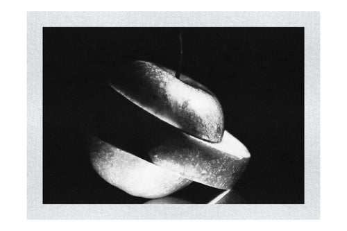 Verdant Spiral Apple Slice - Monochrome Fine Art Print - Food Art Category