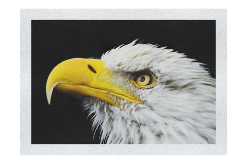 American Bald Eagle Side Profile - Fine Art Print - Wildlife Category