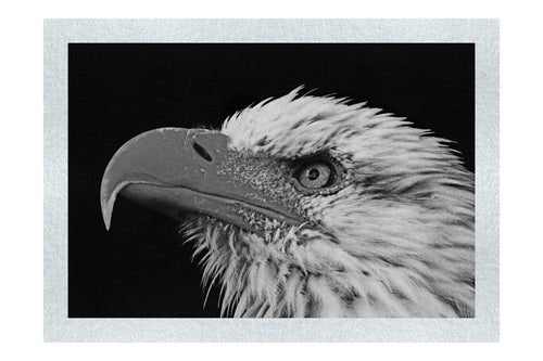 American Bald Eagle Side Profile - Monochrome Fine Art Print - Wildlife Category