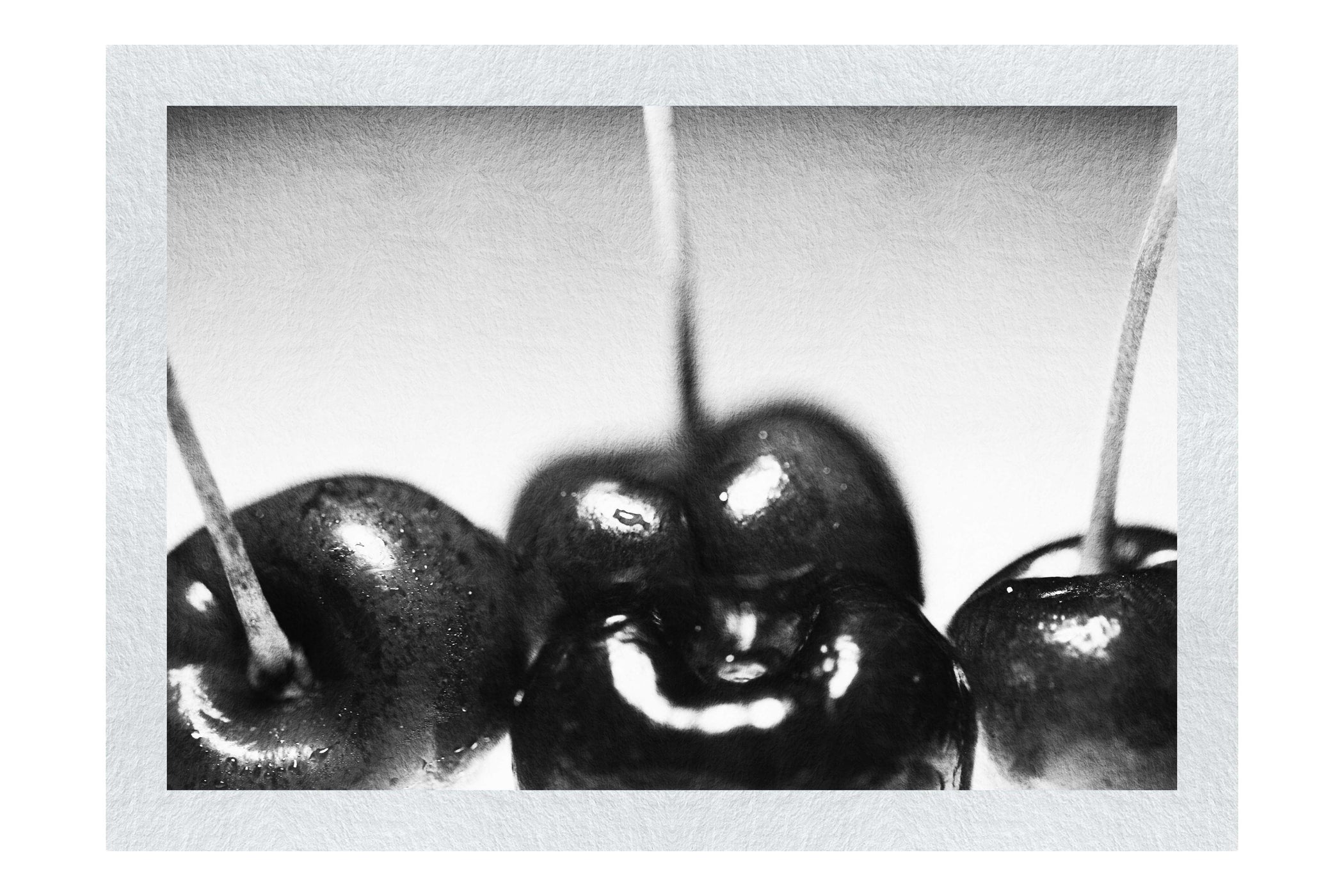 Cherry Burst - Monochrome Fine Art Print - Food Art Category