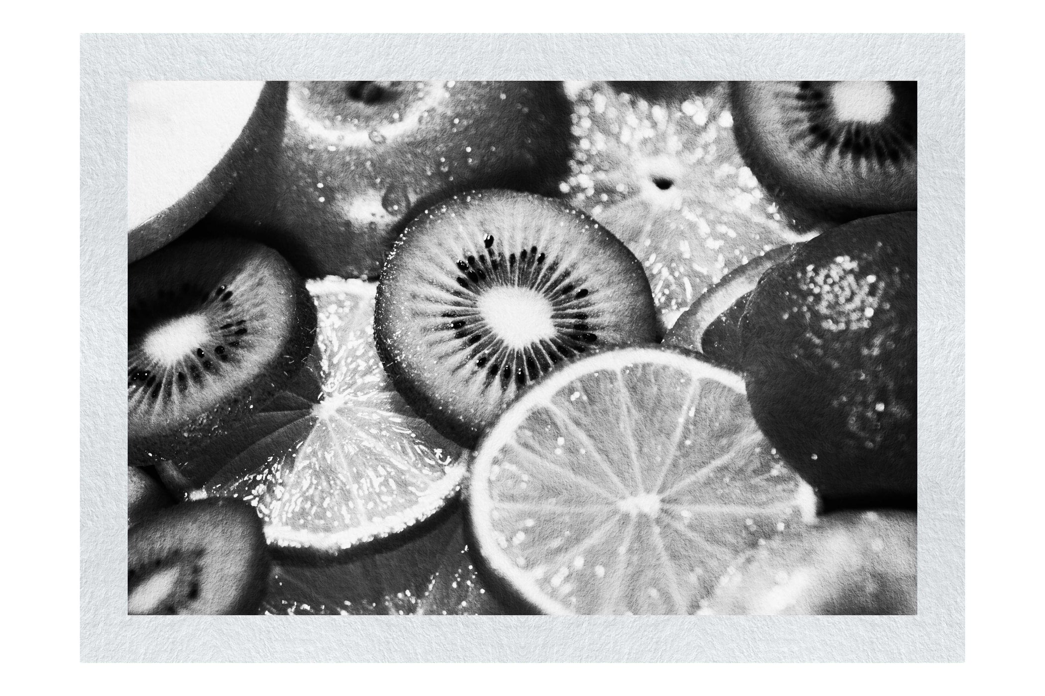 Citrus Arrangement - Monochrome Fine Art Print - Food Art Category