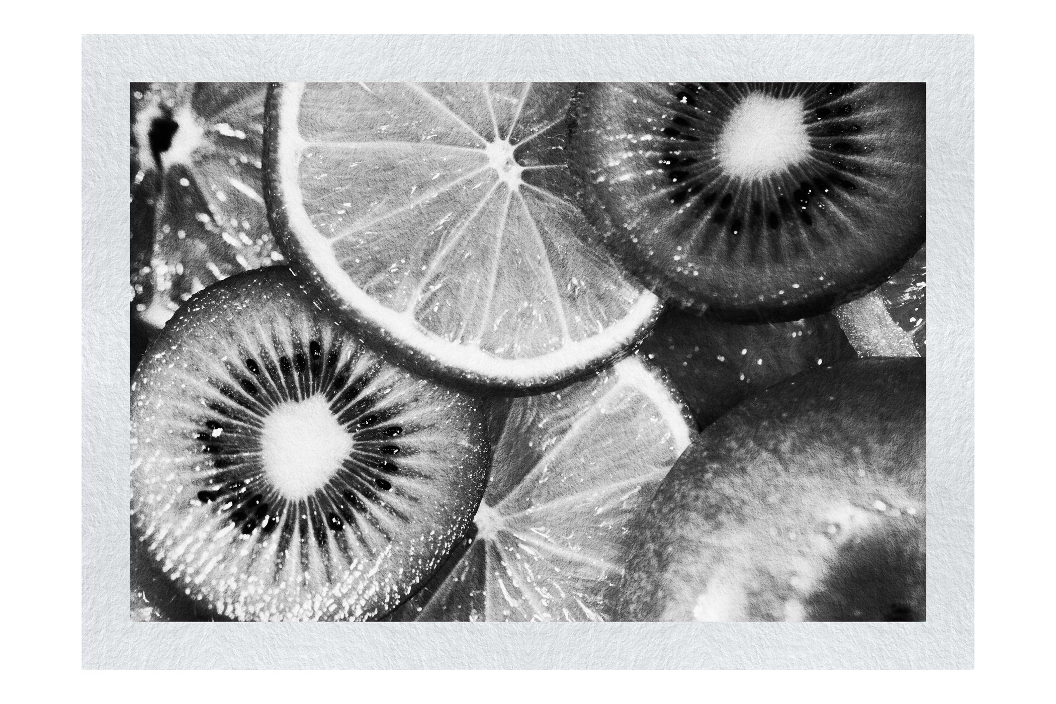 Citrus Kaleidoscope - Monochrome Fine Art Print - Food Art Category