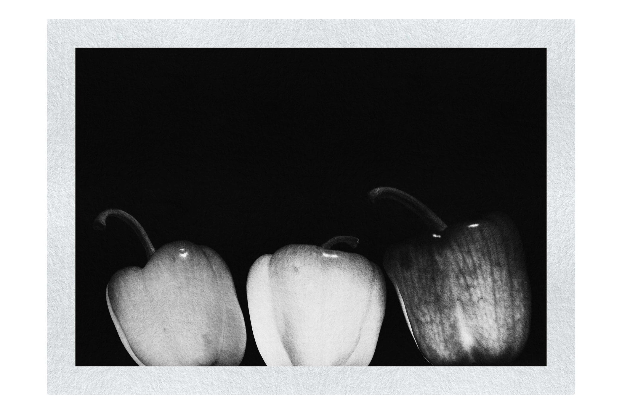 Coloured Peppers - Monochrome Fine Art Print - Food Art Category