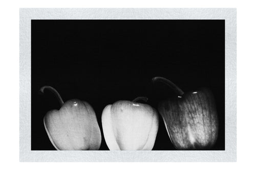 Coloured Peppers - Monochrome Fine Art Print - Food Art Category