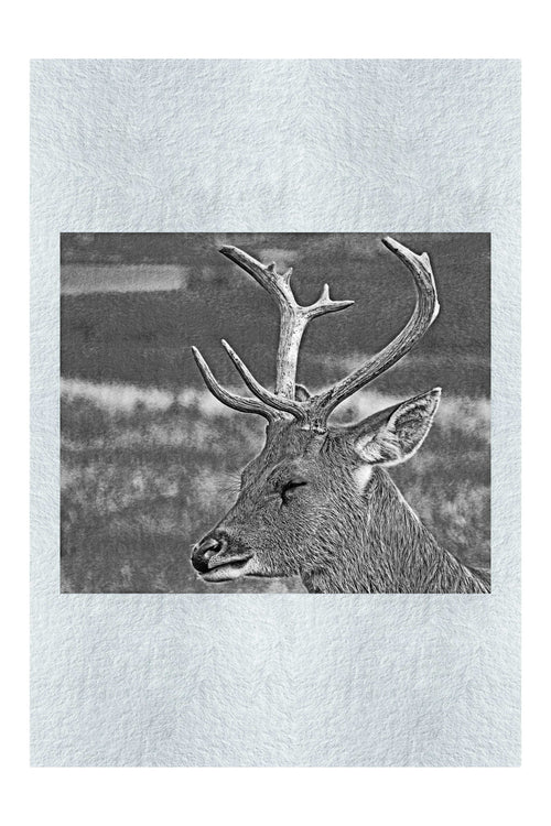 Spring Deer - Monochrome Fine Art Print - Wildlife Category