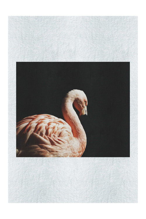 Flamingo In The Dark - Fine Art Print - Rare Edition Category