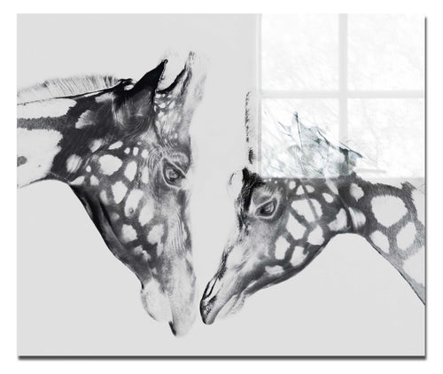 The Giraffes Kiss - Acrylic Print - Rare Edition Category