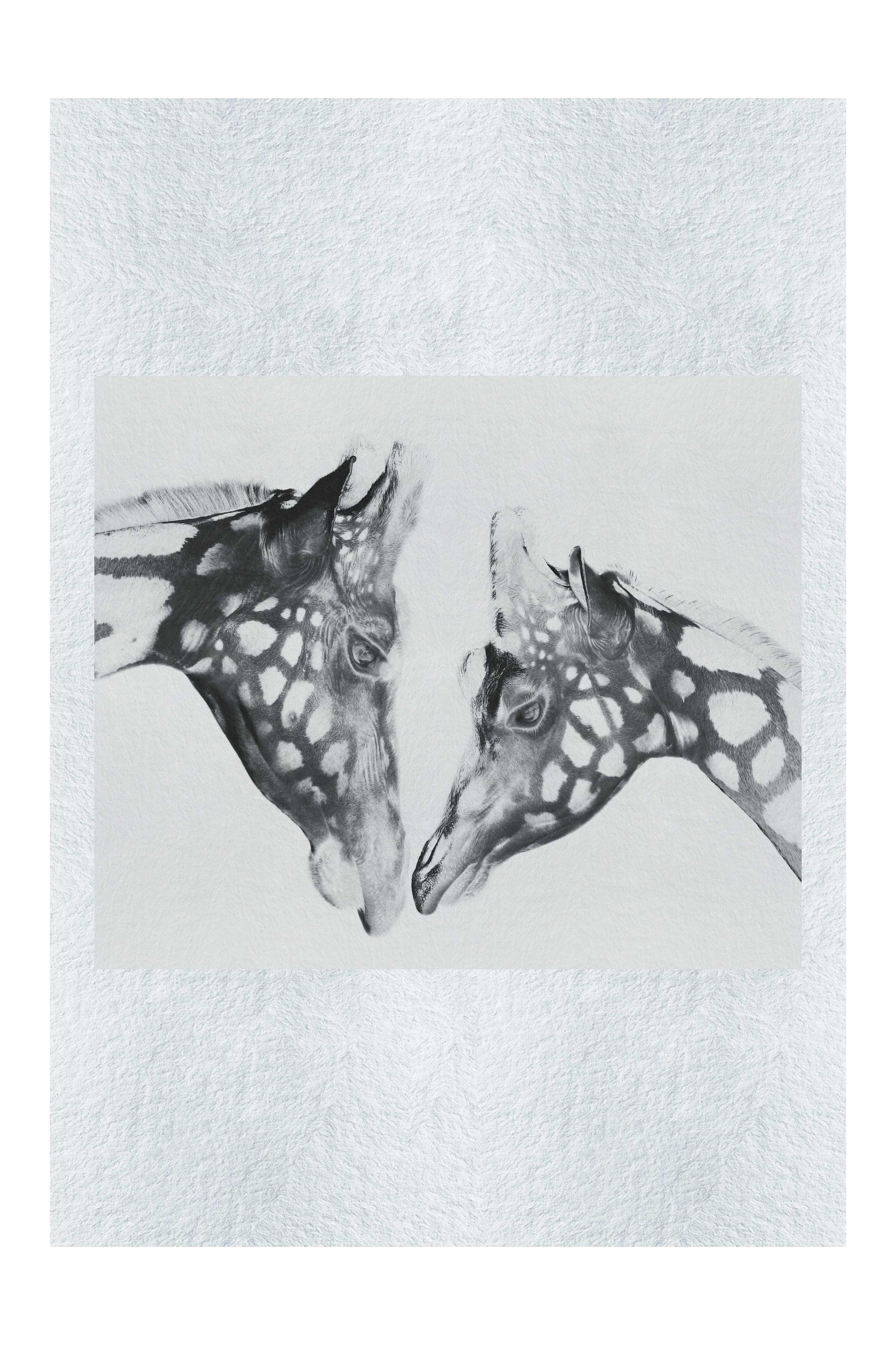 The Giraffes Kiss - Fine Art Print - Rare Edition Category