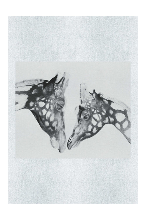 The Giraffes Kiss - Fine Art Print - Rare Edition Category