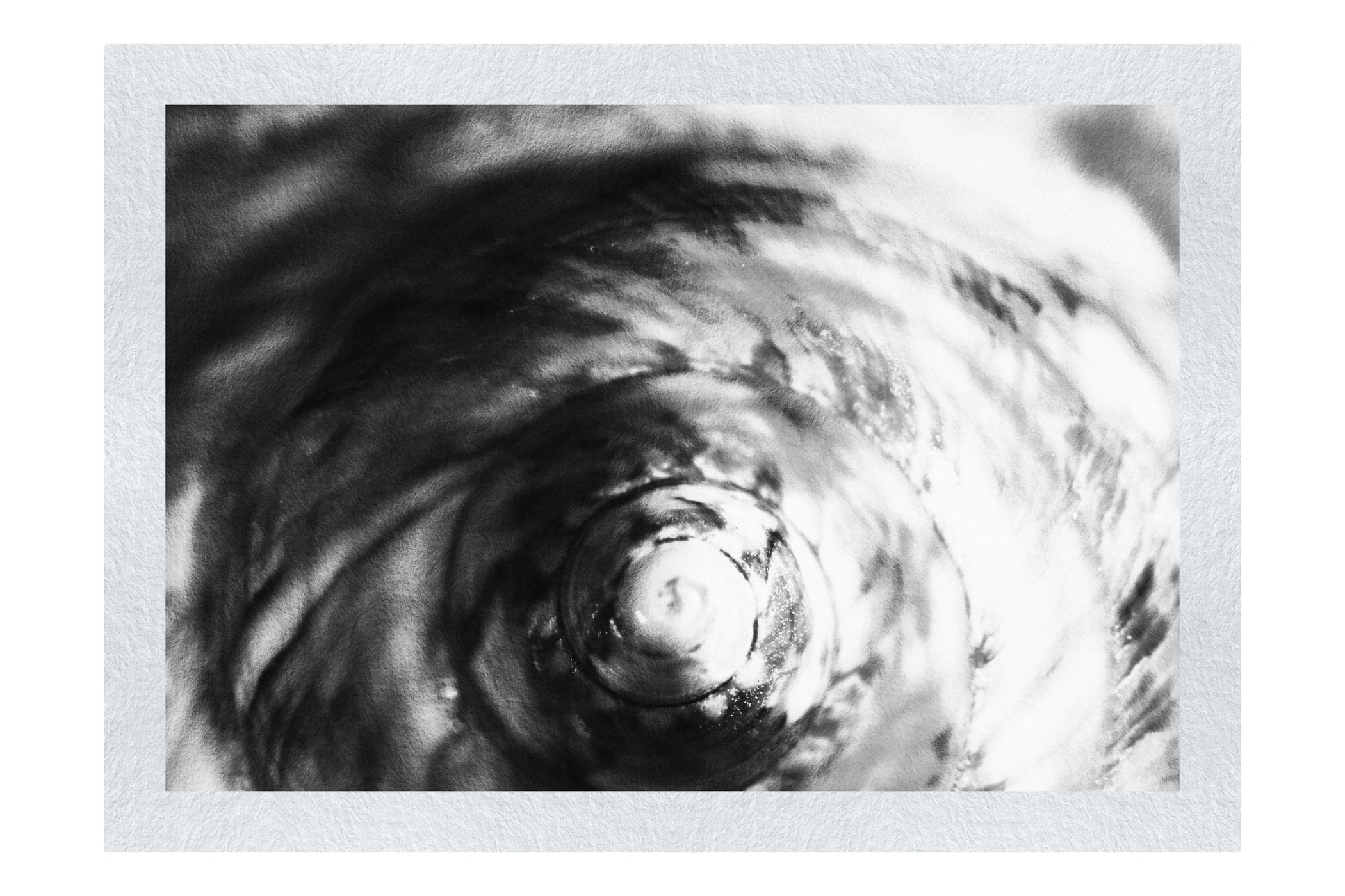 Teal and Orange Turbinidae Shell - Monochrome Fine Art Print - Aquatic Category