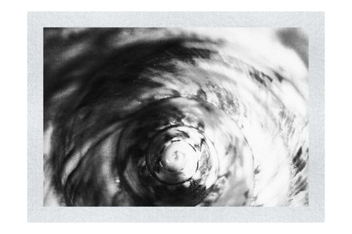 Teal and Orange Turbinidae Shell - Monochrome Fine Art Print - Aquatic Category