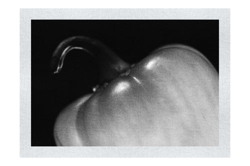 Half Red Pepper - Monochrome Fine Art Print - Food Art Category
