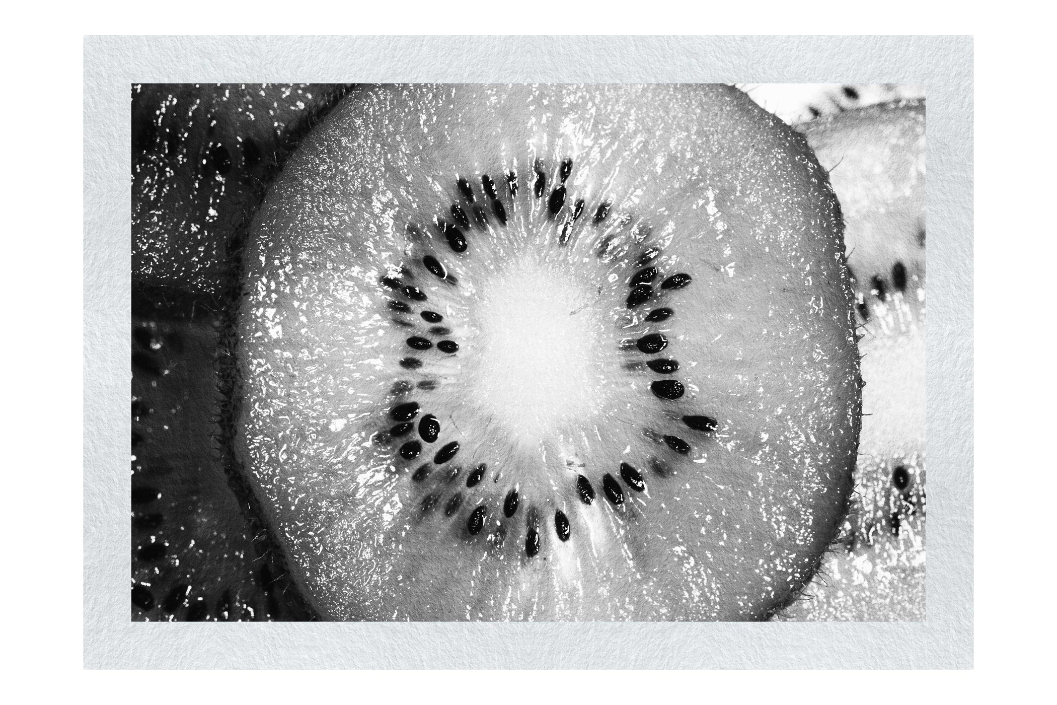 Nature's Fireworks: Kiwi Kaleidoscope - Monochrome Fine Art Print - Food Art Category - Food Art Category
