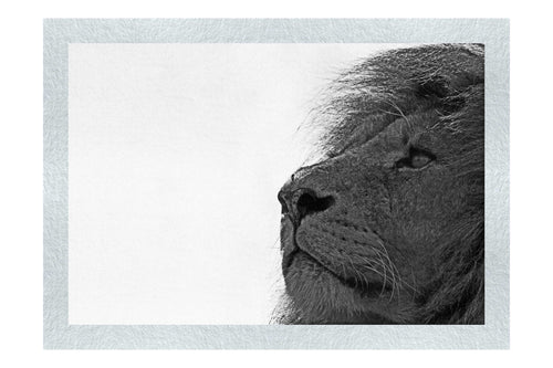 Lion - Monochrome Fine Art Print - Wildlife Category