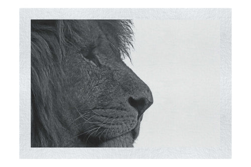 Lion in Side-Profile - Fine Art Print - Wildlife Category