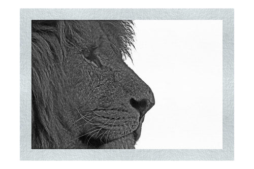 Lion in Side-Profile - Monochrome Fine Art Print - Wildlife Category
