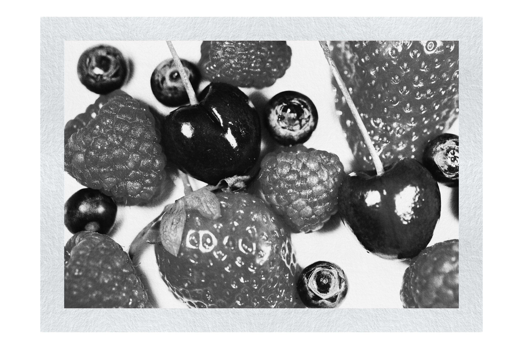 Mixed Fruits - Monochrome Fine Art Print - Food Art Category