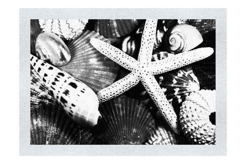 Asteroidea Beaded Starfish II - Monochrome Fine Art Print - Aquatic Art Category