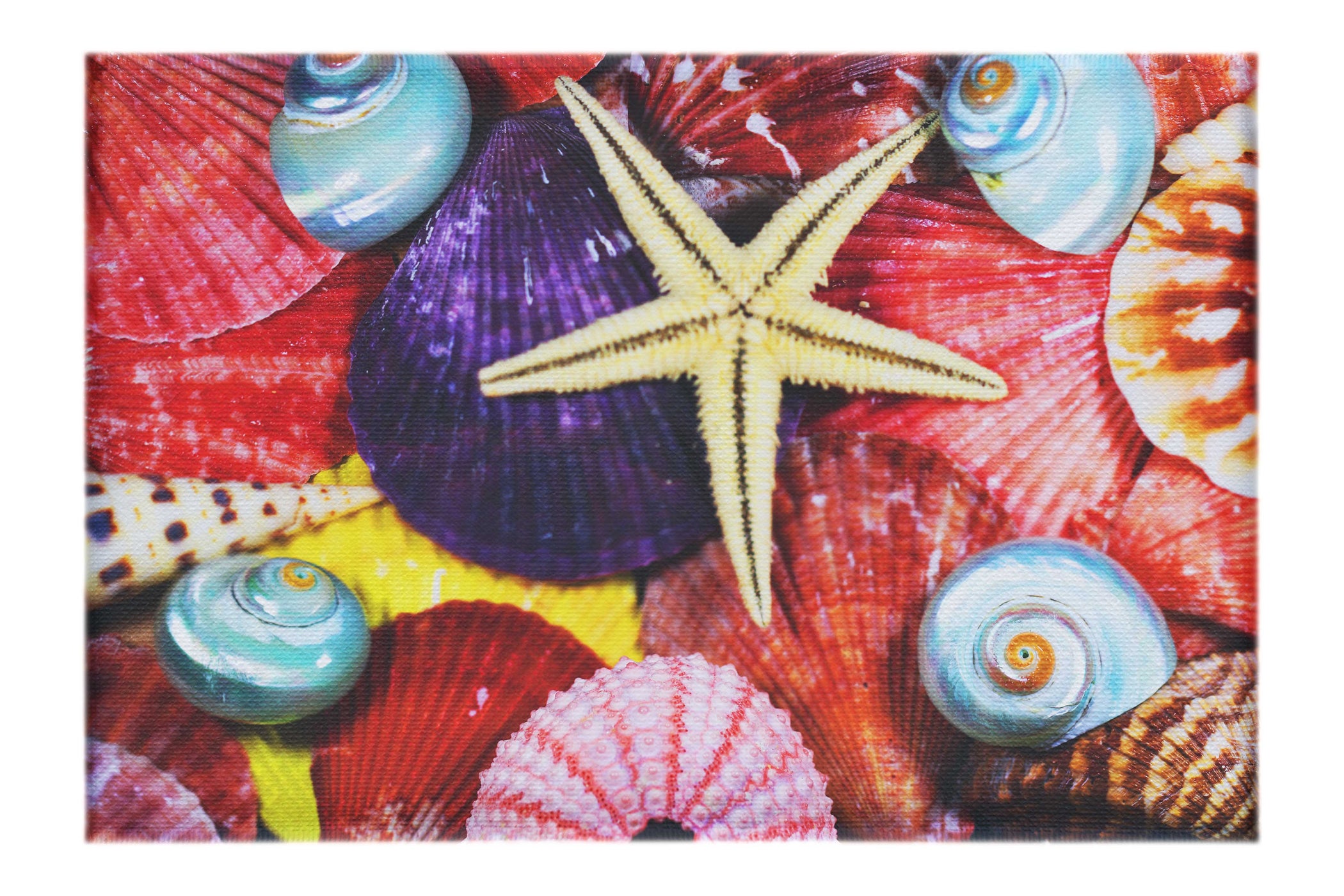 Asteroidea Blue Finger Starfish - Canvas Print - Aquatic Art Category