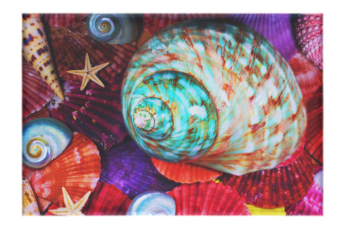 Turbinidae Shell & Beaded Asteroidea - Canvas Print - Aquatic Art Category