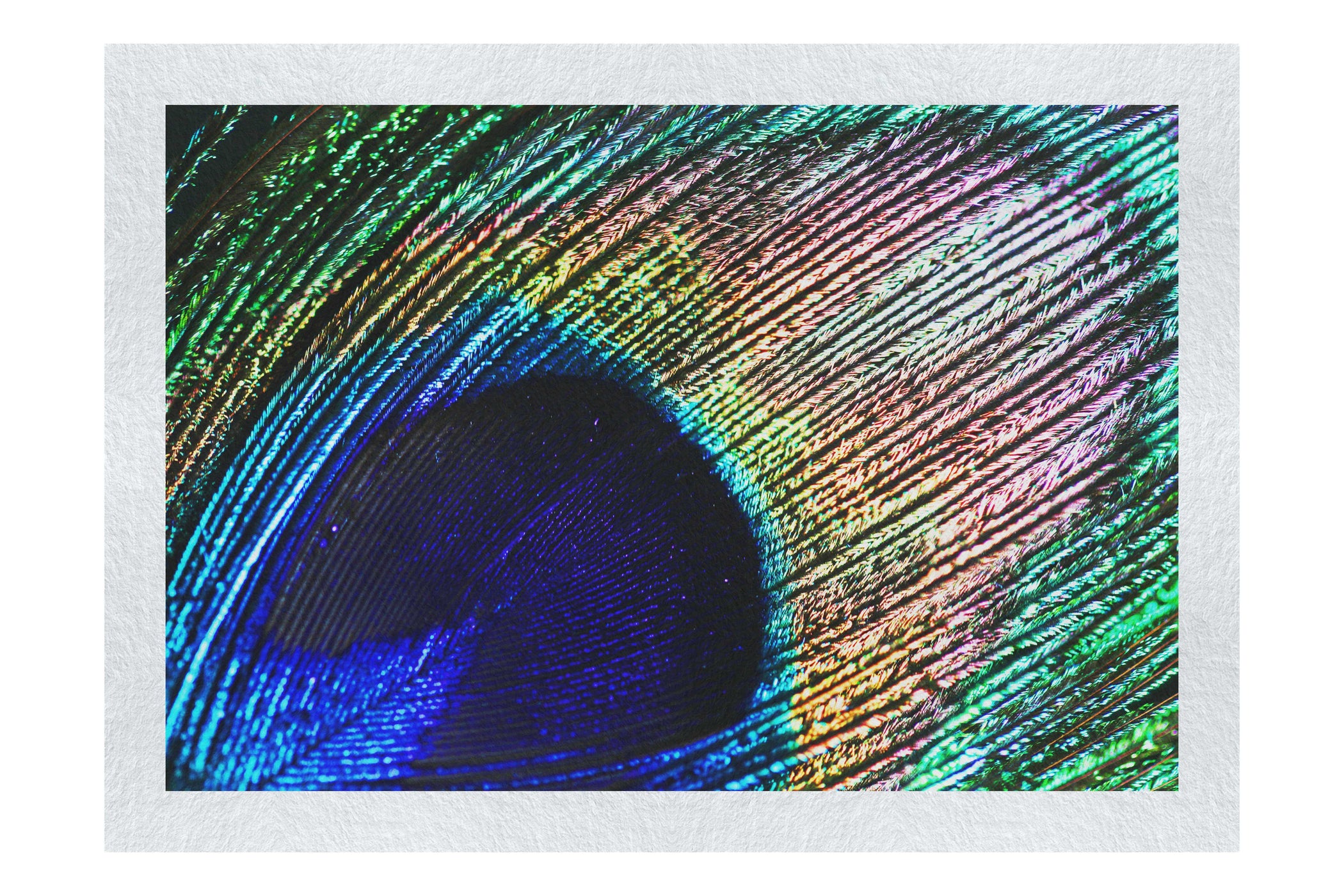 Nature's Kaleidoscope - Fine Art Print - Creative Category