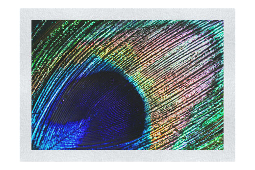 Nature's Kaleidoscope - Fine Art Print - Creative Category