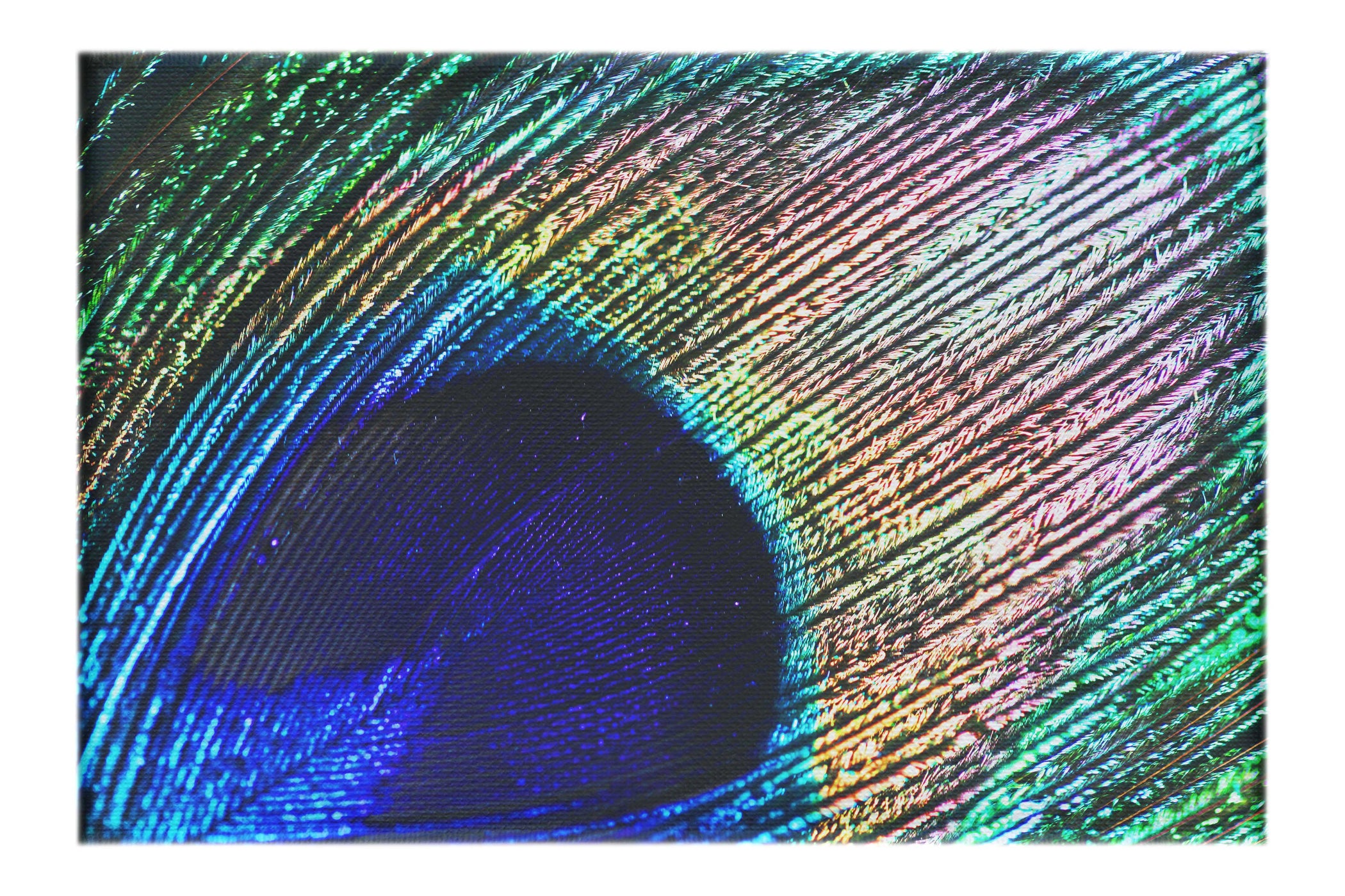 Nature's Kaleidoscope - Canvas Print - Creative Category