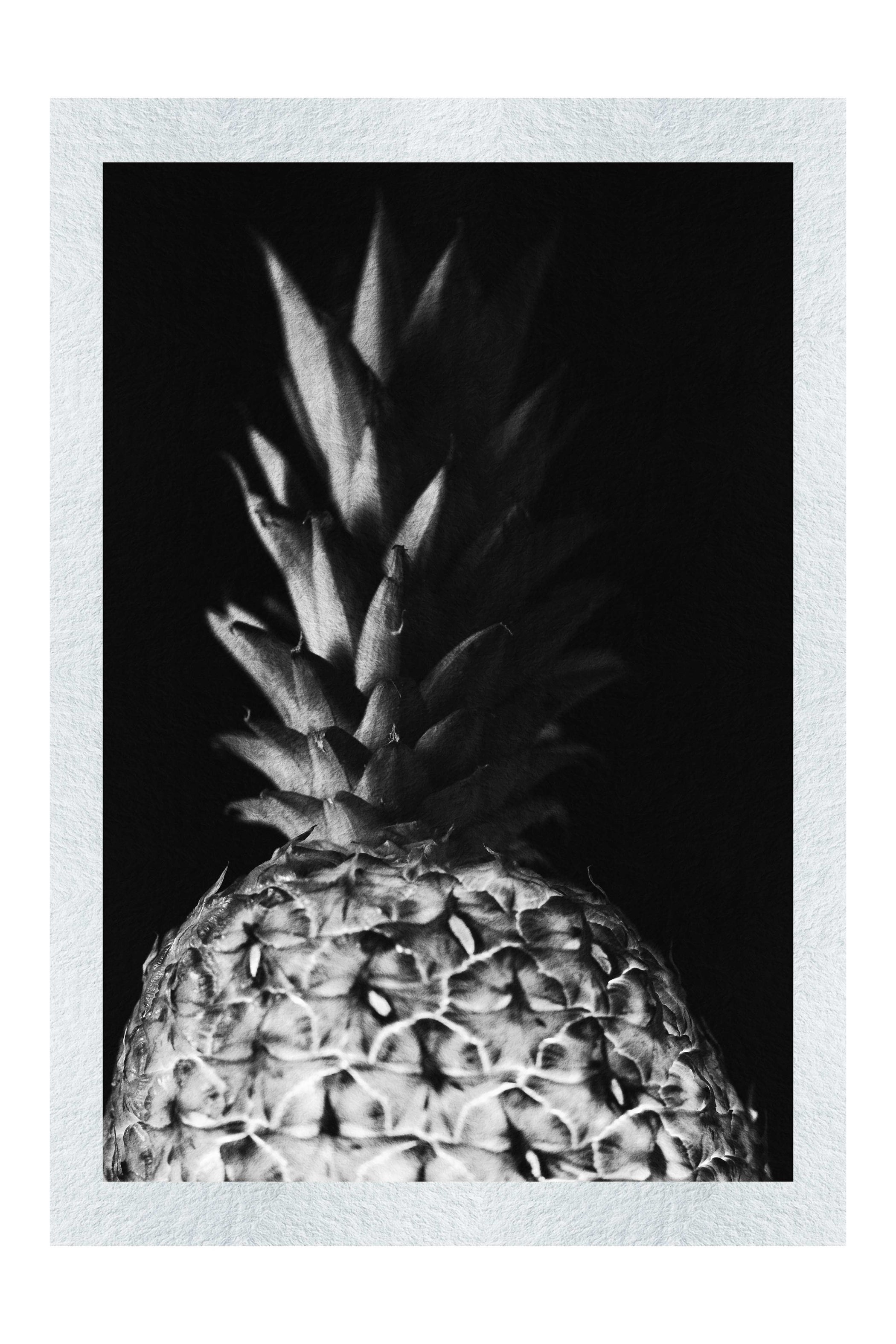 Pineapple Noir- Monochrome Fine Art Print - Food Art Category