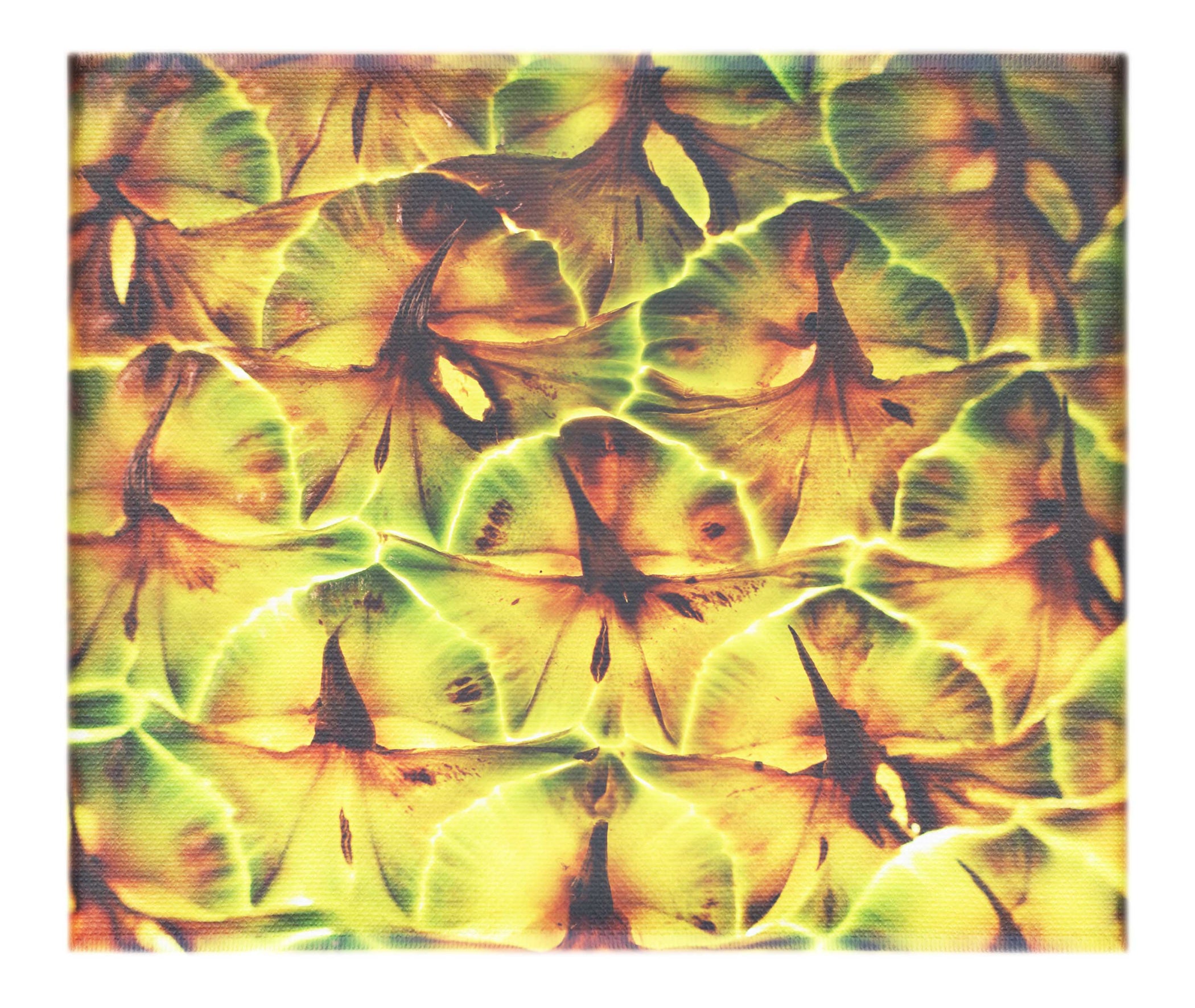 Golden Geometry: Pineapple Macro - Canvas Print - Abstract Category