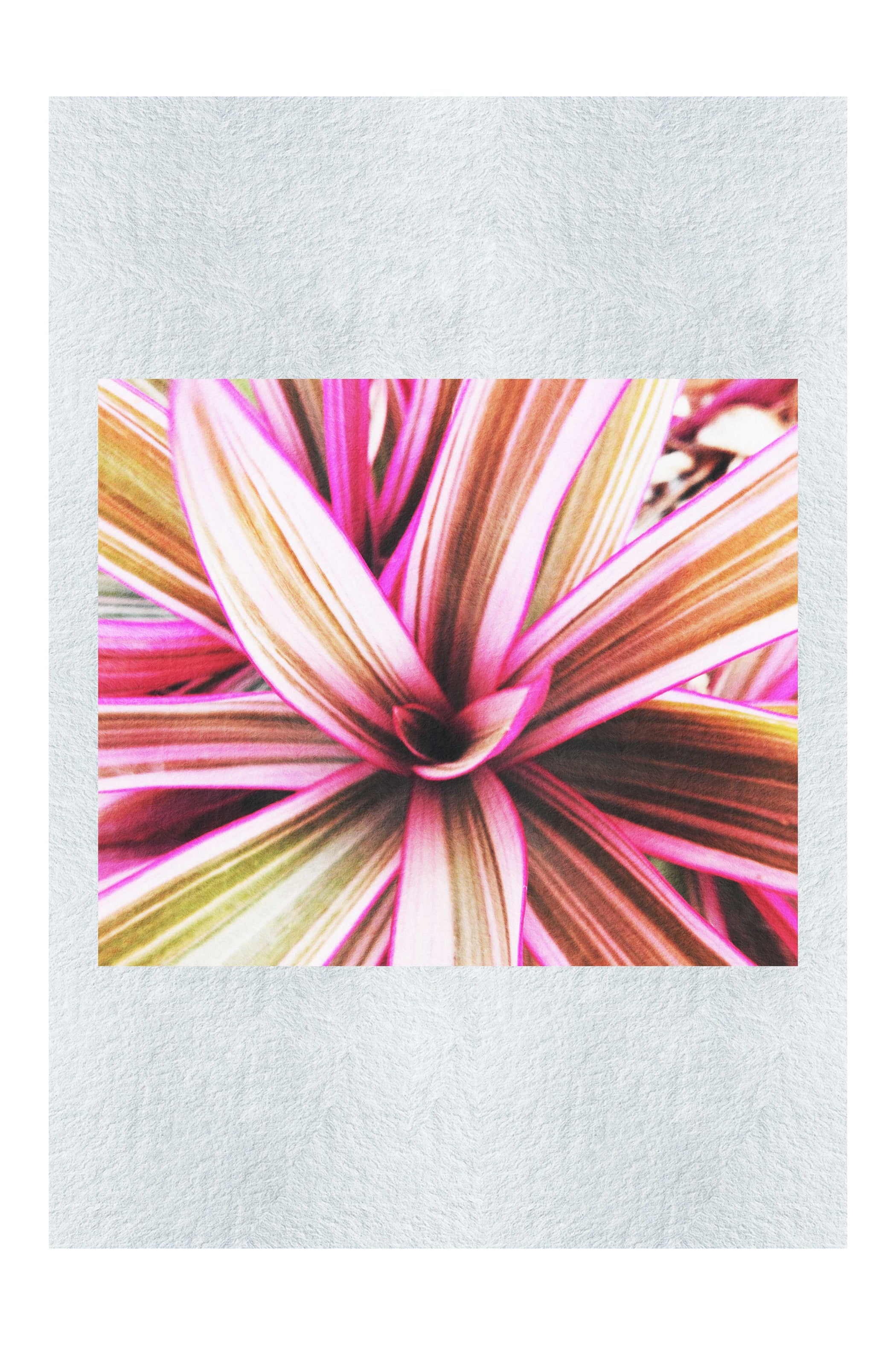 Tropical Glow - Fine Art Print - Abstract Category