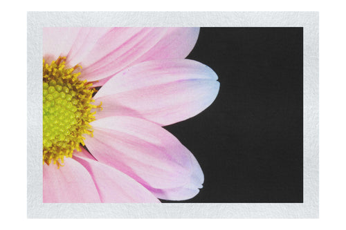 Delicate Daisy - Fine Art Print - Flowers & Plants Category