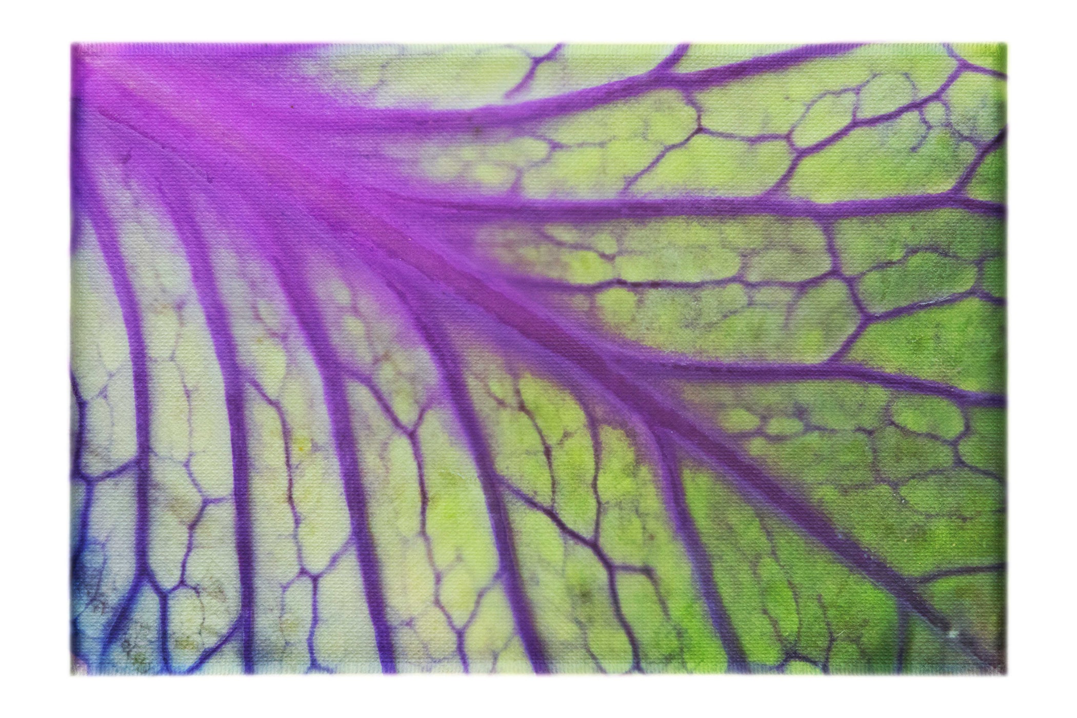 Leaf Luminescence - Canvas Art Print - Flowers & Plants Category