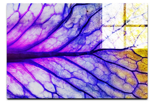Veins of Violet - Acrylic Print - Flowers & Plants Category