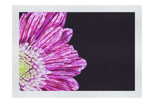 Radiant Petals - Fine Art Print - Flowers & Plants Category
