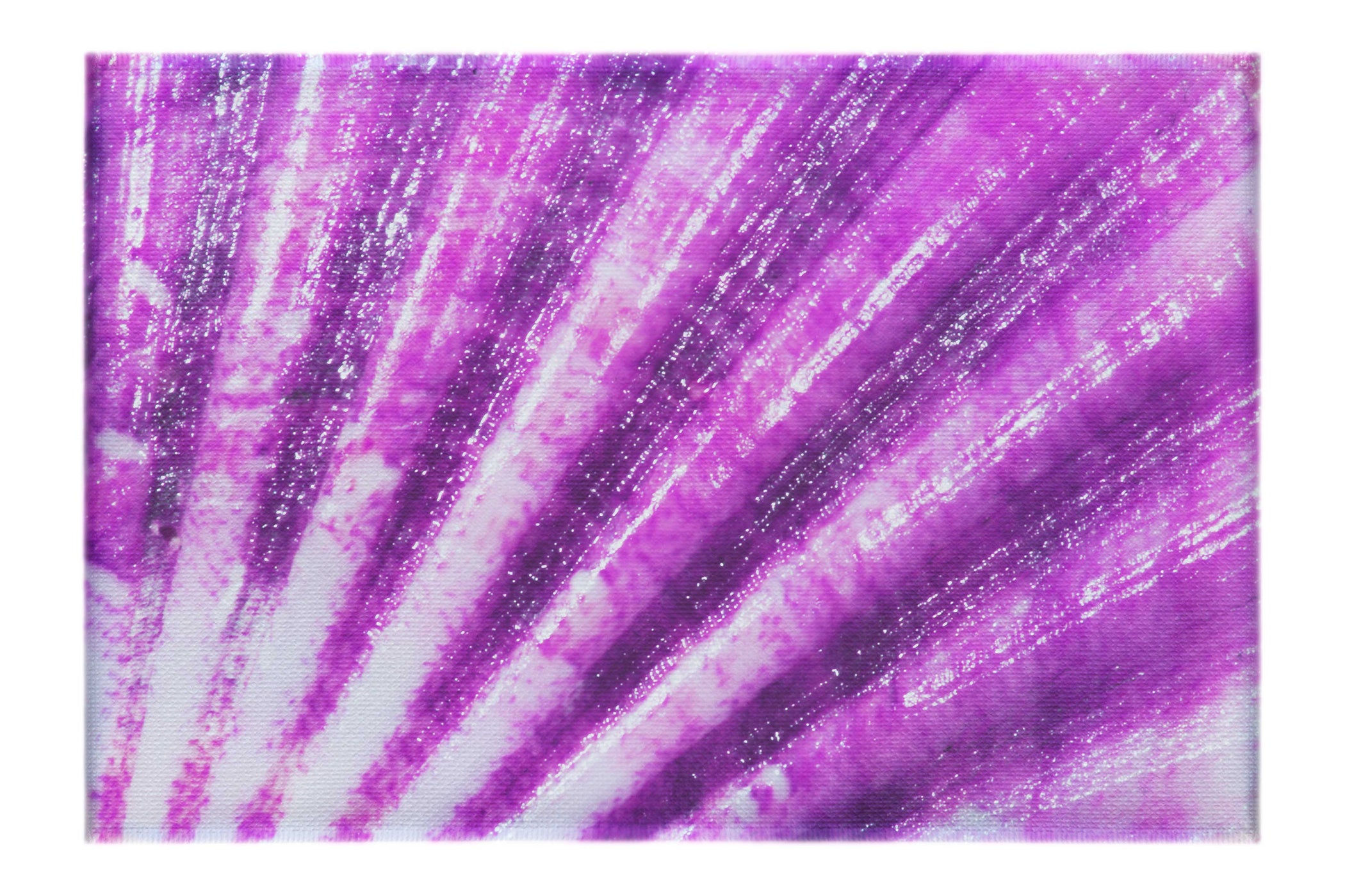 Mardi Gras Calico Shell - Canvas Print - Aquatic Art Category