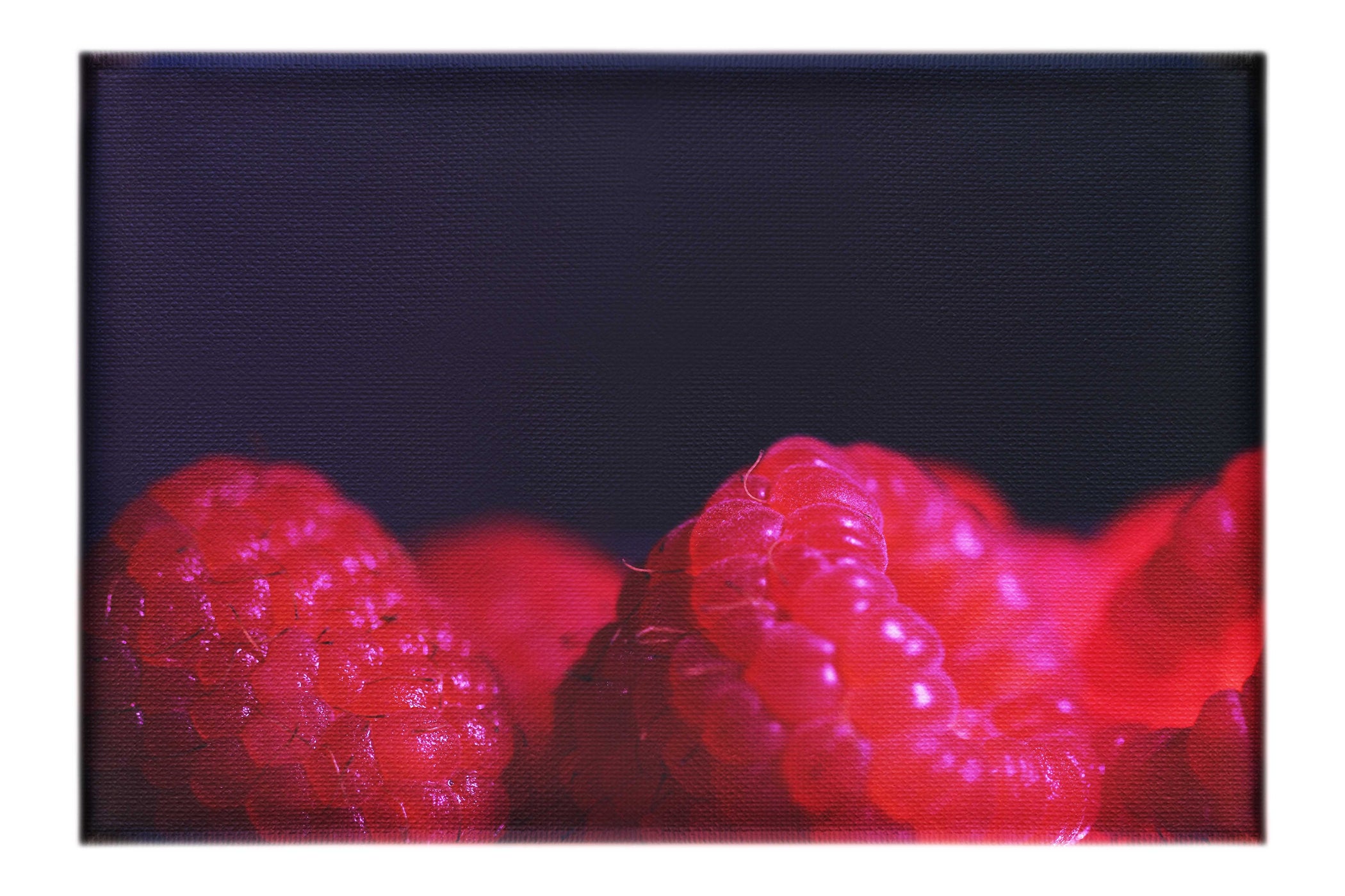 Berries in shadow - Canvas Print - Food Art Category