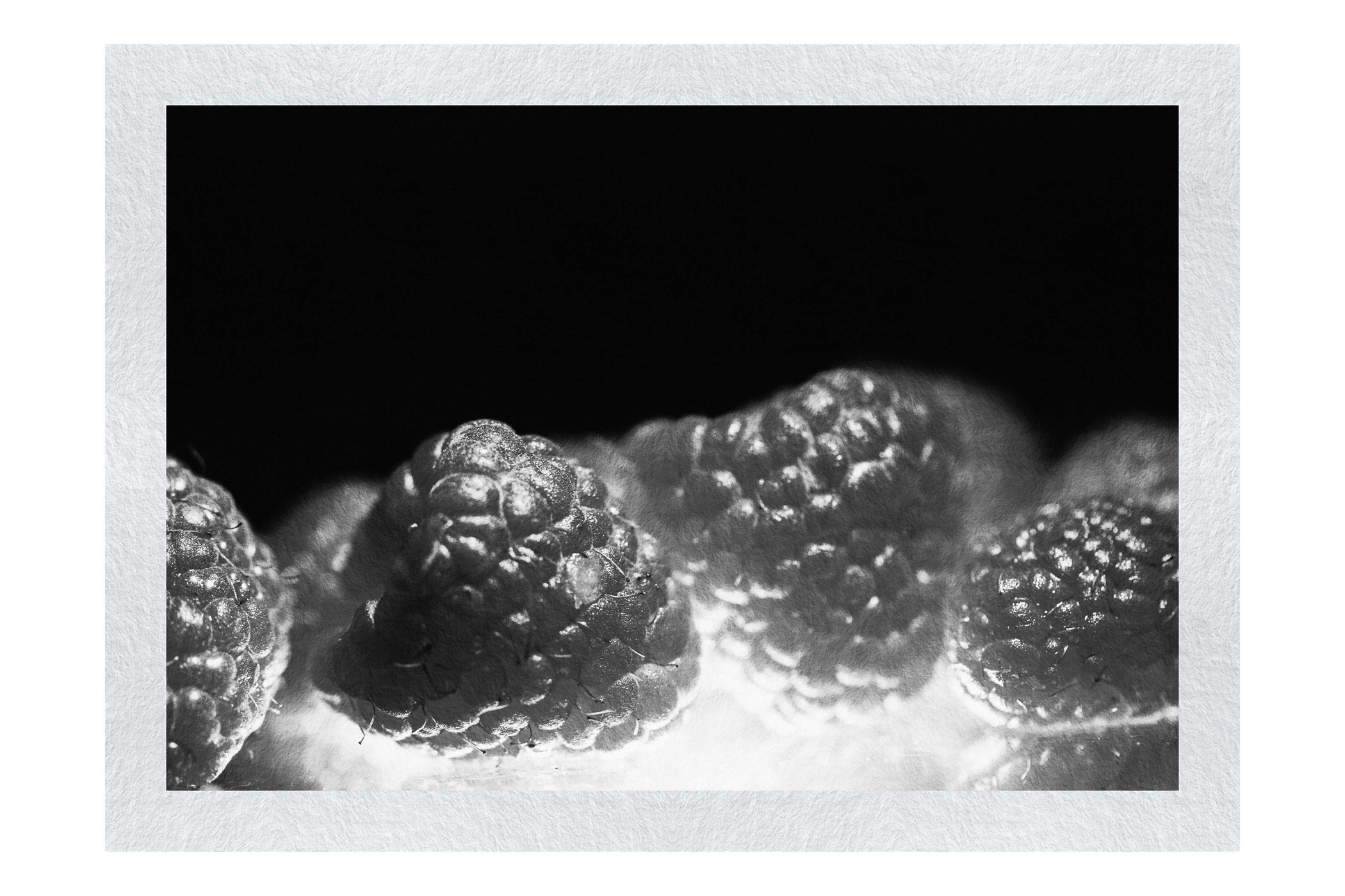 Crimson Harvest - Monochrome Fine Art Print - Food Art Category