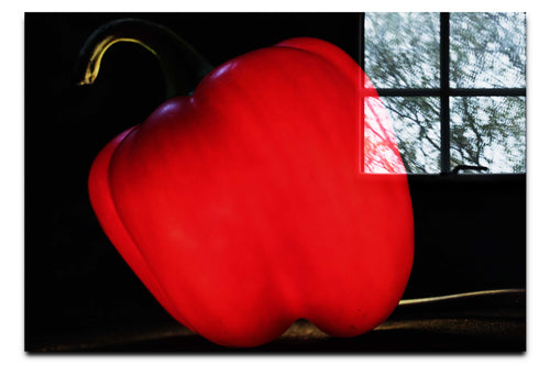 Crimson Capsicum - Acrylic Print - Food Art Category