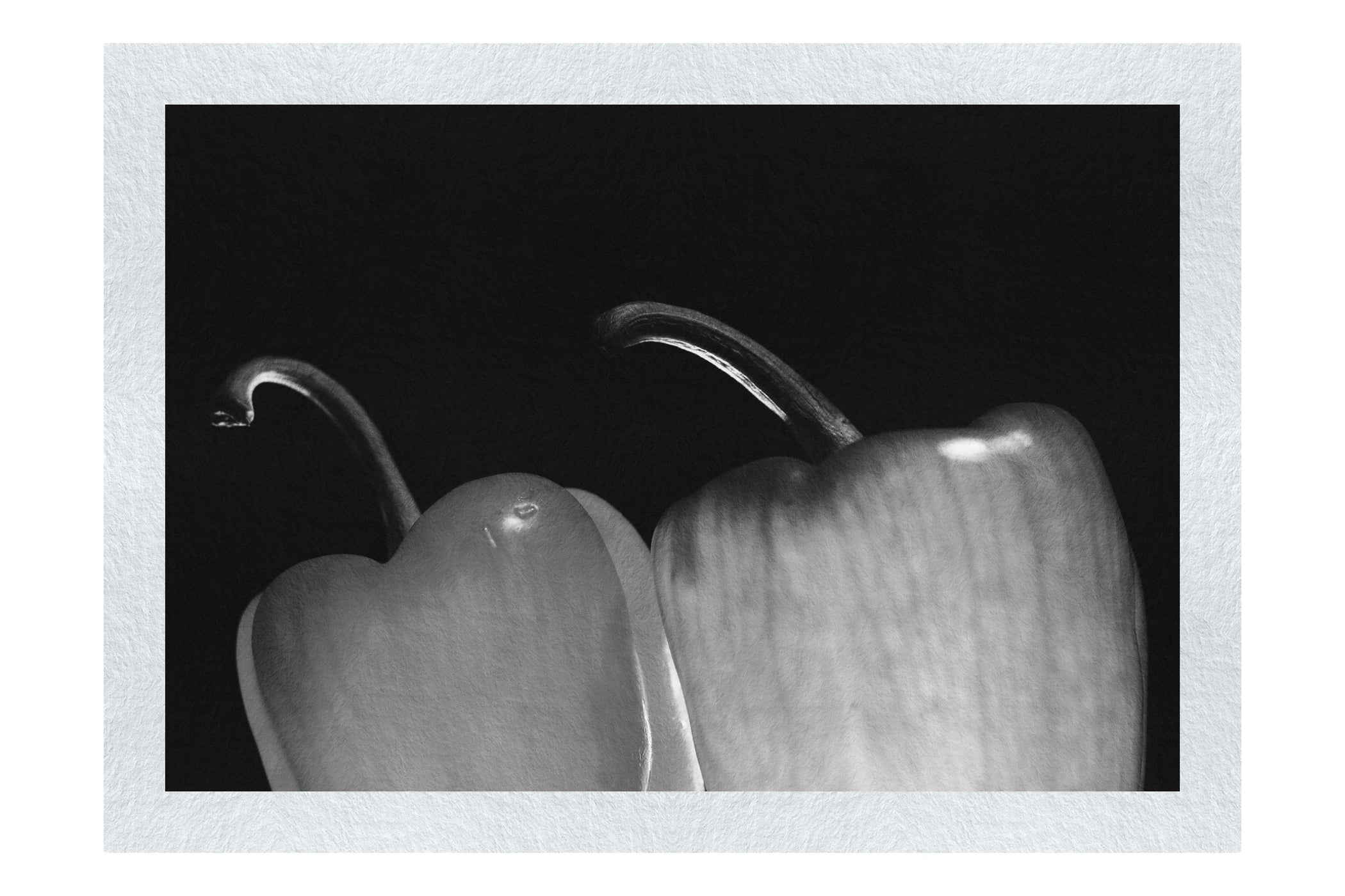 Capsicum Contrast - Monochrome Fine Art Print - Food Art Category