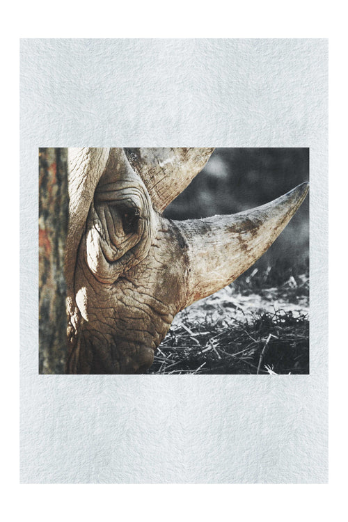 Rhinoceros Side Profile - Fine Art Print - Rare Edition Category
