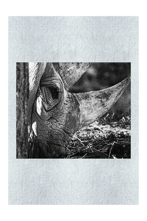 Rhinoceros Side Profile - Monochrome Fine Art Print - Rare Edition Category