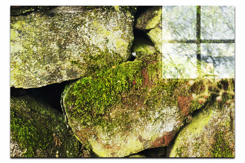Stone and Verdure: A Timeless Embrace - Acrylic Print - Abstract Category