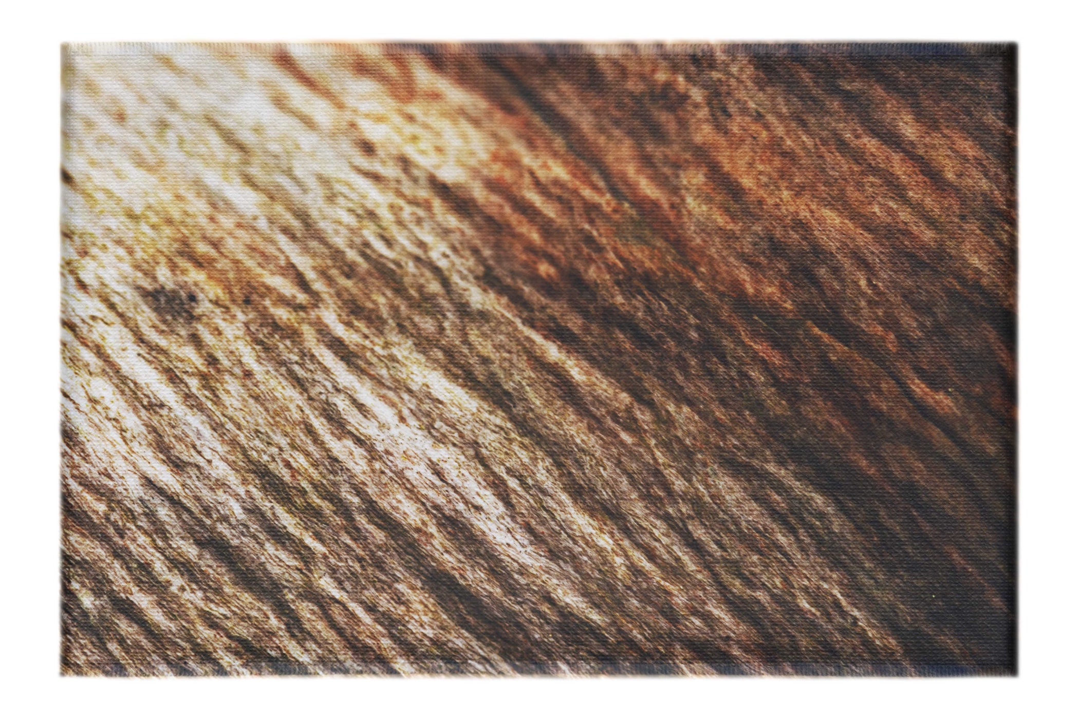 Lithic Tides: Waves of Stone - Canvas Print - Abstract Category