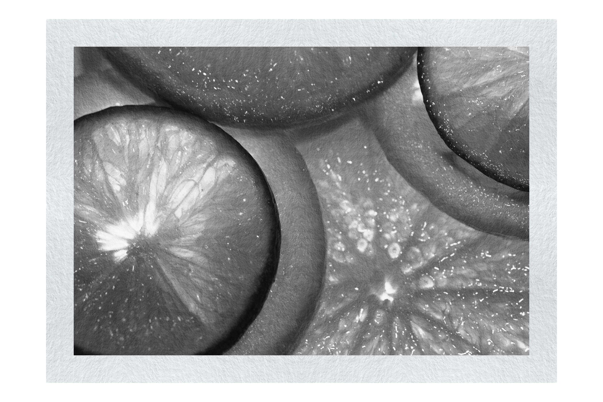 Citrus Crescents - Monochrome Fine Art Print - Food Art Category