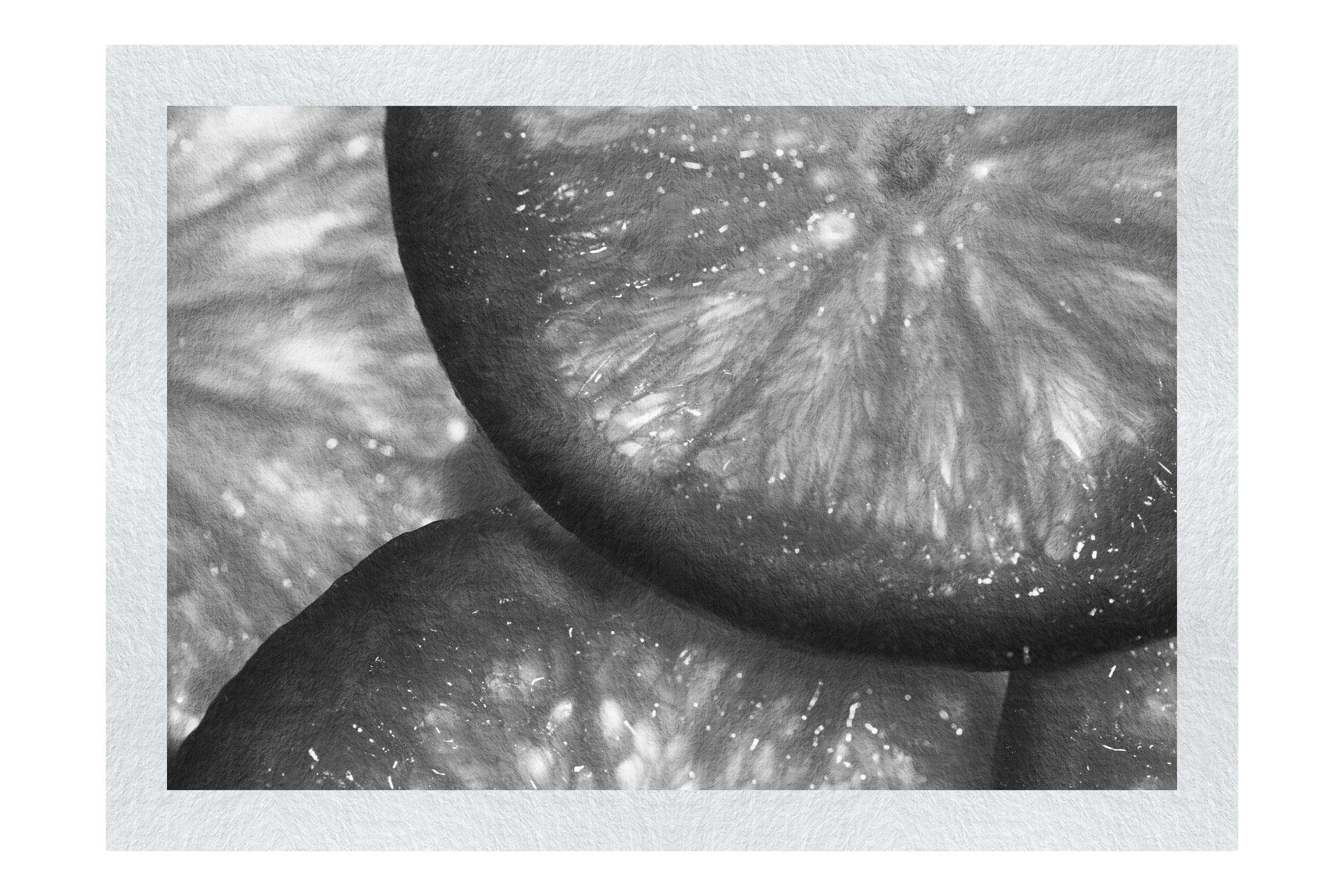 Citrus Sunburst: Orange Slice Symphony - Monochrome Fine Art Print - Food Art Category