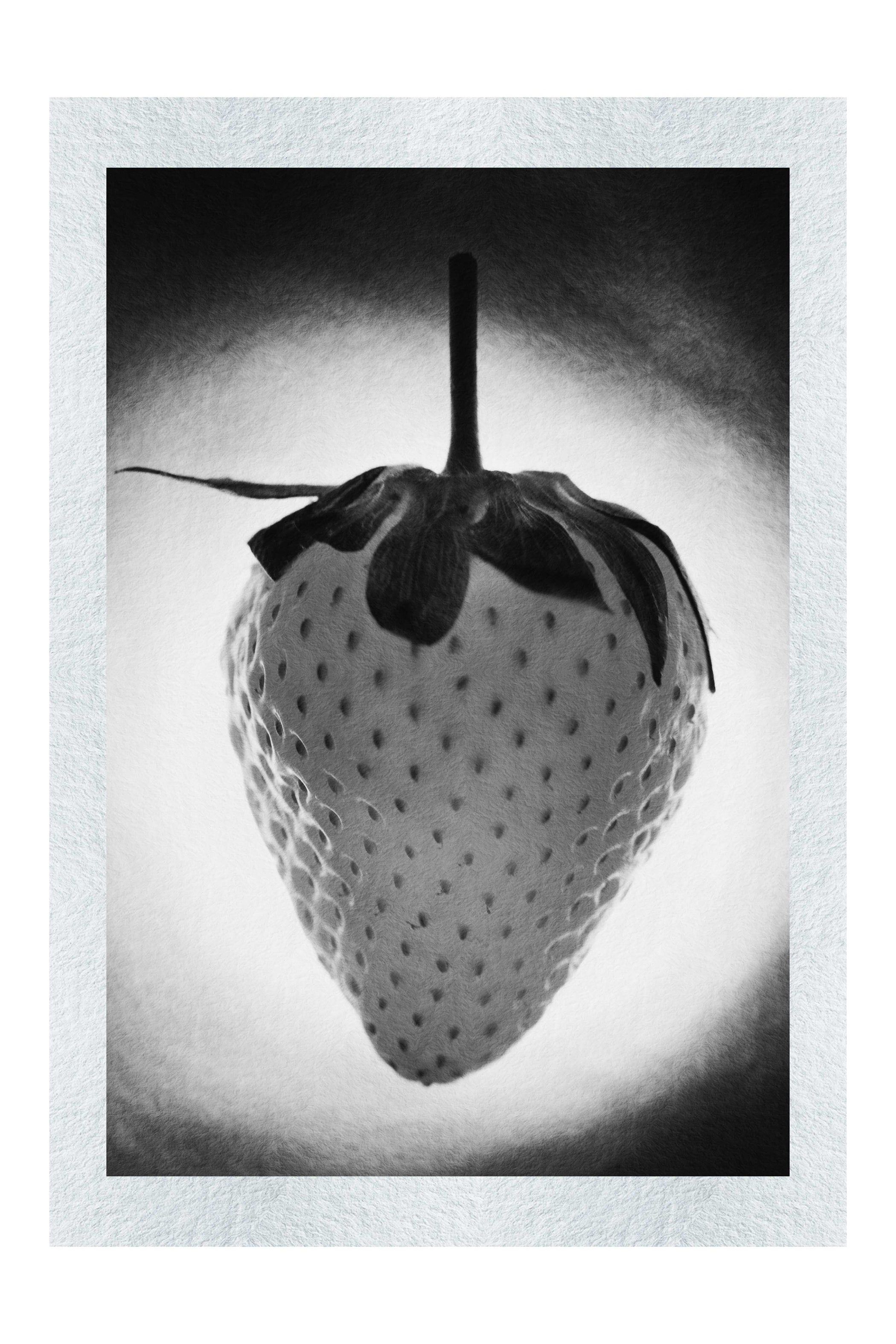 Strawberry Alight - Monochrome Fine Art Print - Food Art Category
