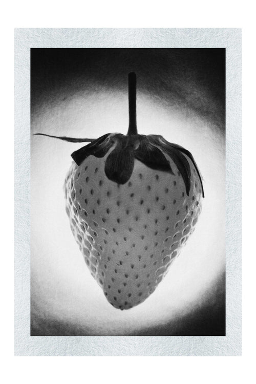 Strawberry Alight - Monochrome Fine Art Print - Food Art Category