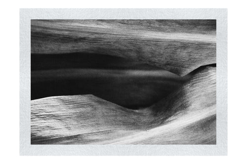 Grain and Shadow: Wood's Hidden Landscape - Monochrome Fine Art Print - Abstract Category